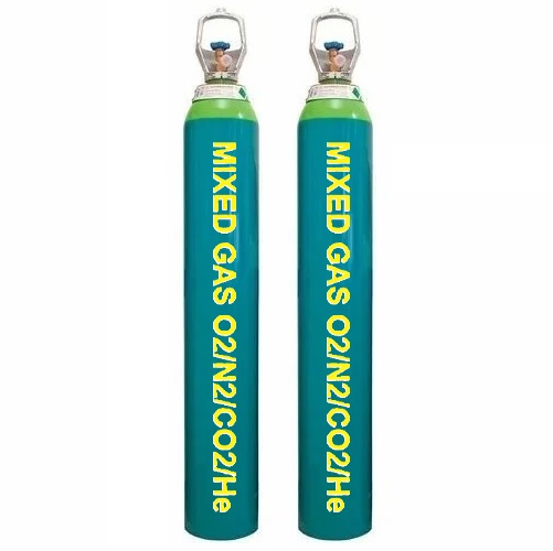 Khí hỗn hợp H2 4% CO 10% CO2 20% N2 66%